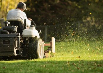 The 10 Best Affordable Lawn Care Services Near Me