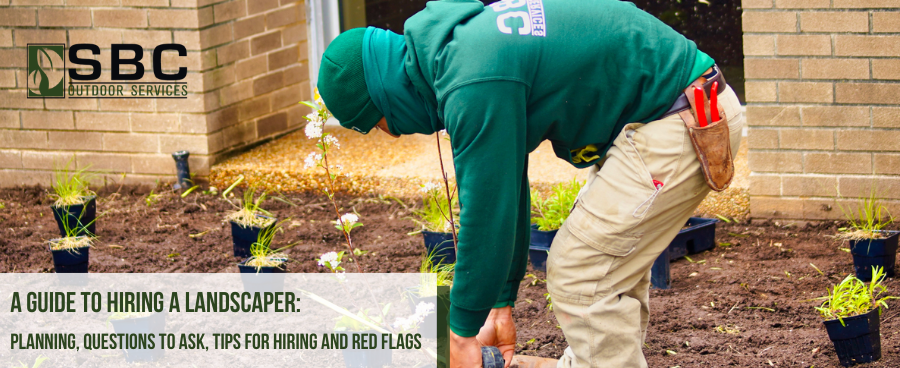 Red Flags Landscaping in 9 seconds #flowerbed #landscape #fast #shorts ...
