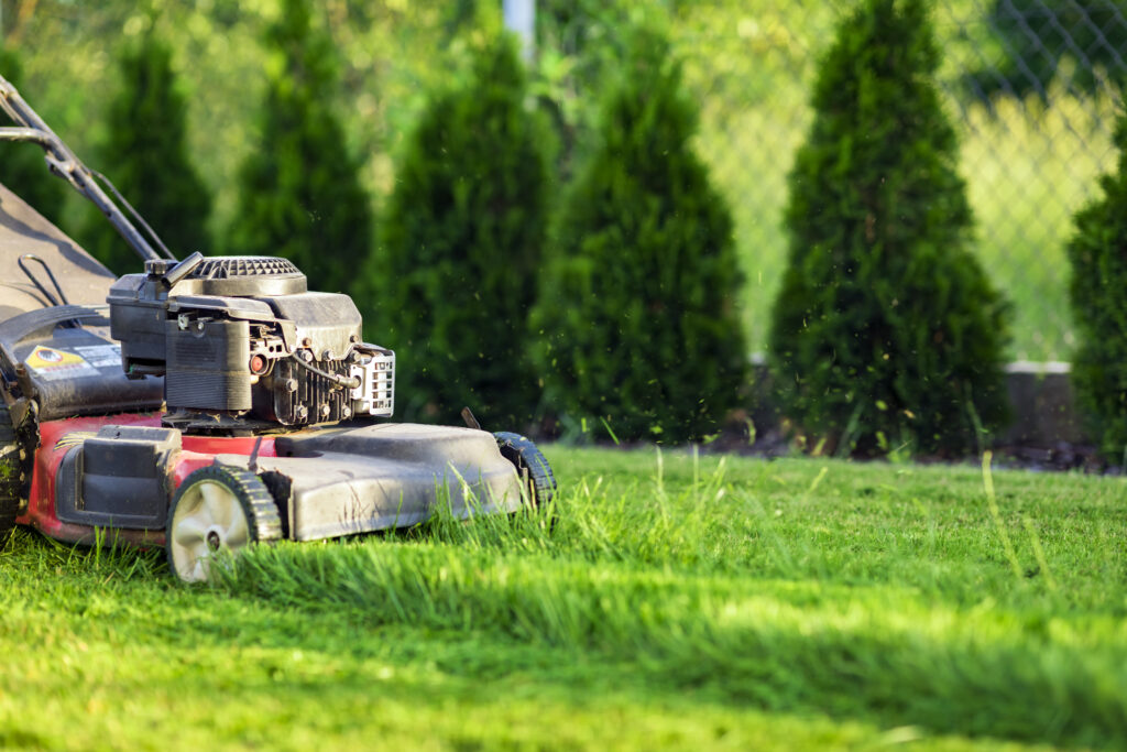 Home: Best Landscaping Allen TX - My Neighbor Services