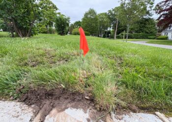 Bright Red Flag Marks Landscaping Work on a Grassy Area Near a Road ...