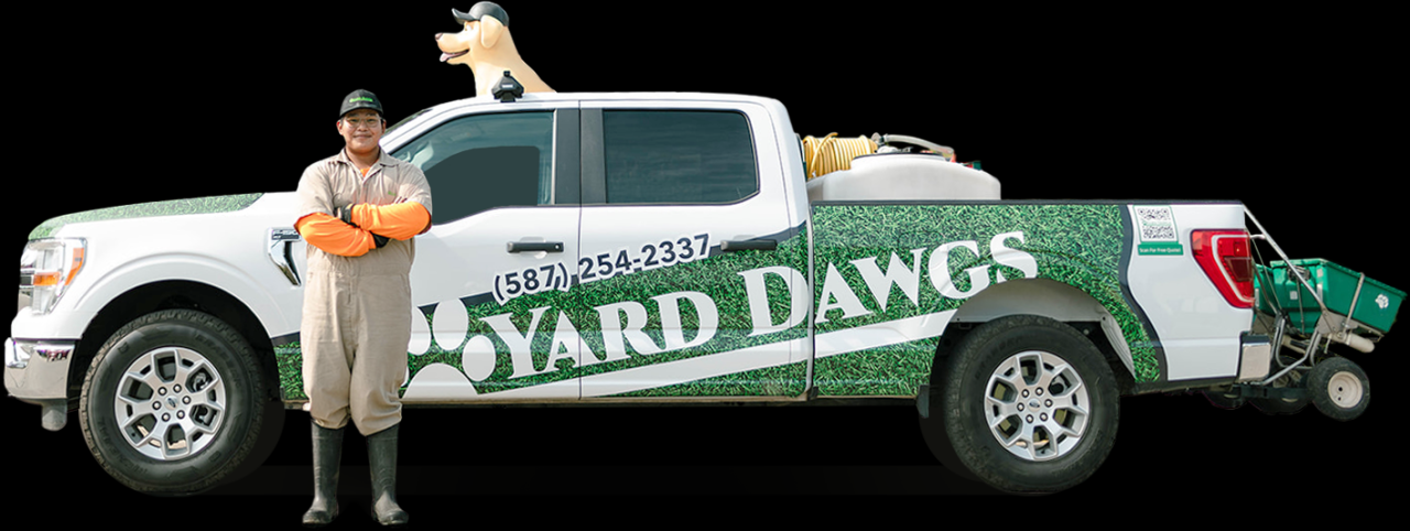 Lawn Care in Saskatoon – Weed-Free Lawns | Yard Dawgs