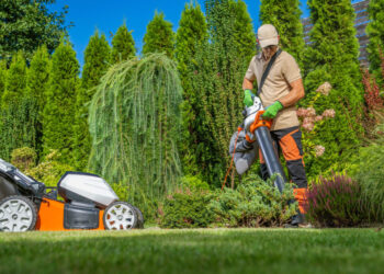 Home: Best Landscaping Allen TX - My Neighbor Services