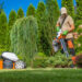 Home: Best Landscaping Allen TX - My Neighbor Services