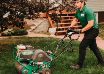 What Is Bentgrass and Should You Remove It From Your Lawn?