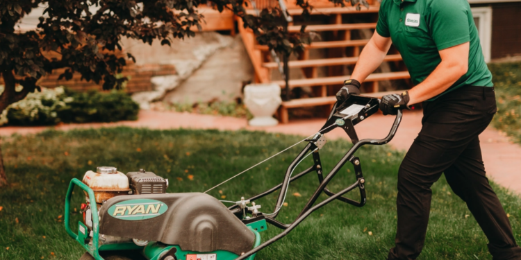 What Is Bentgrass and Should You Remove It From Your Lawn?